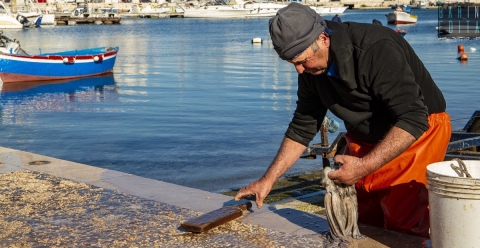 I segreti e le tecniche del rito pi� barese che c'�: il "miracolo" dell'arricciatura del polpo